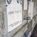 vizzola
